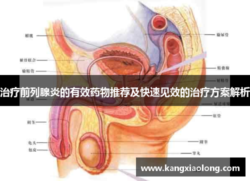 治疗前列腺炎的有效药物推荐及快速见效的治疗方案解析